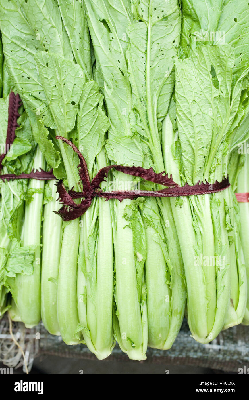 Chinese Mustard Greens