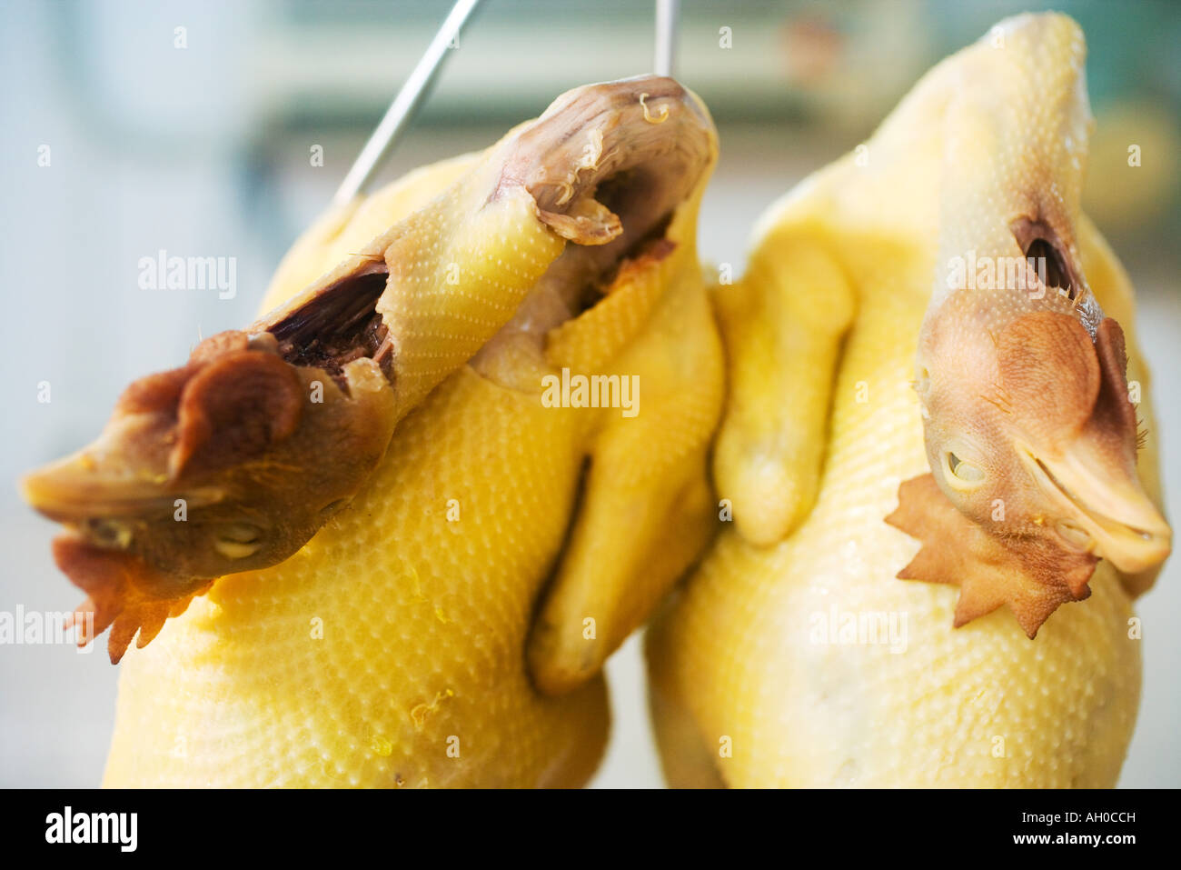 Raw skinned chickens hanging from hooks Stock Photo