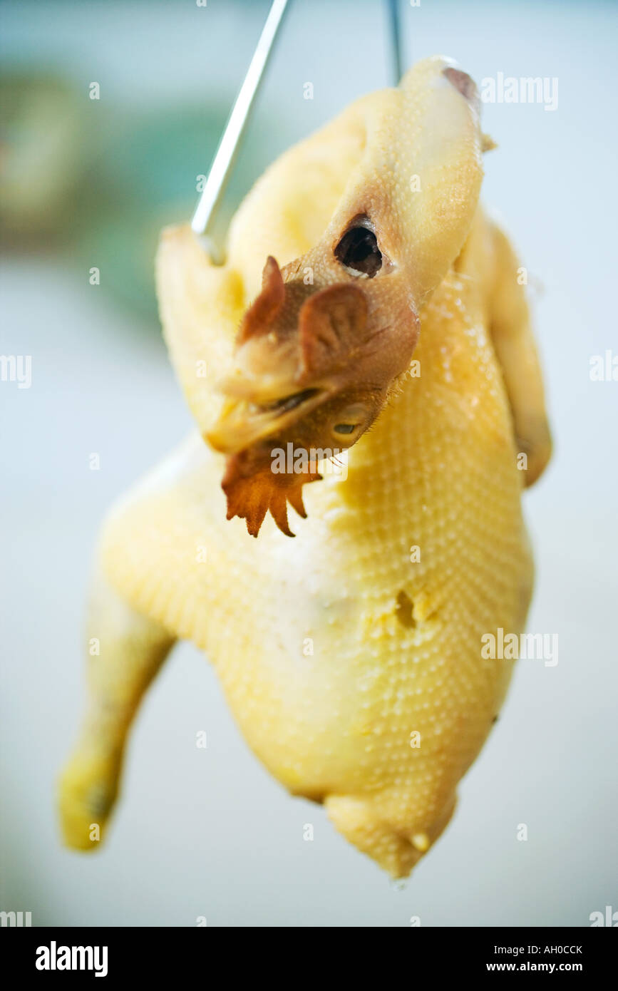 Raw skinned chicken hanging from hook Stock Photo Alamy