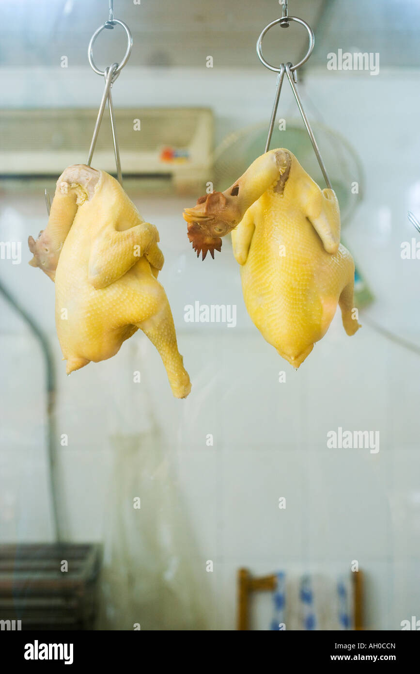 Raw skinned chickens hanging from hooks Stock Photo Alamy