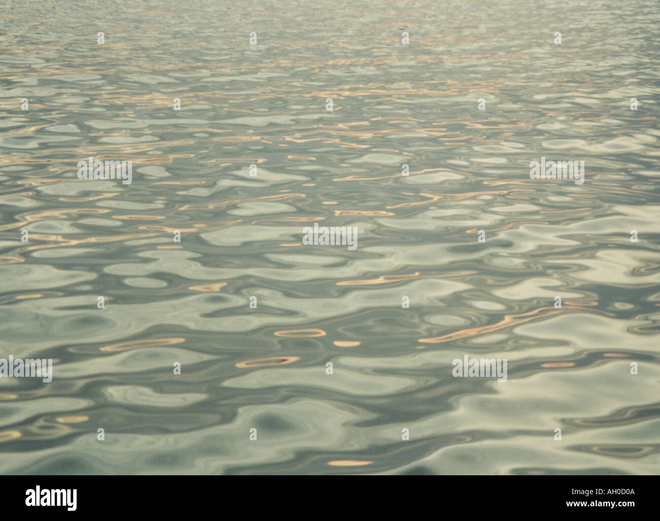 Ripples on on the surface of water Stock Photo - Alamy