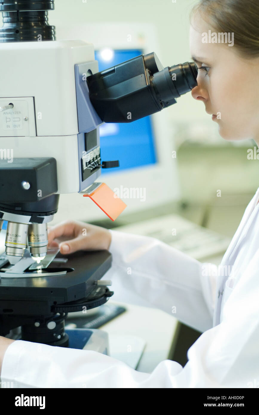 Microscopes slides hires stock photography and images Alamy