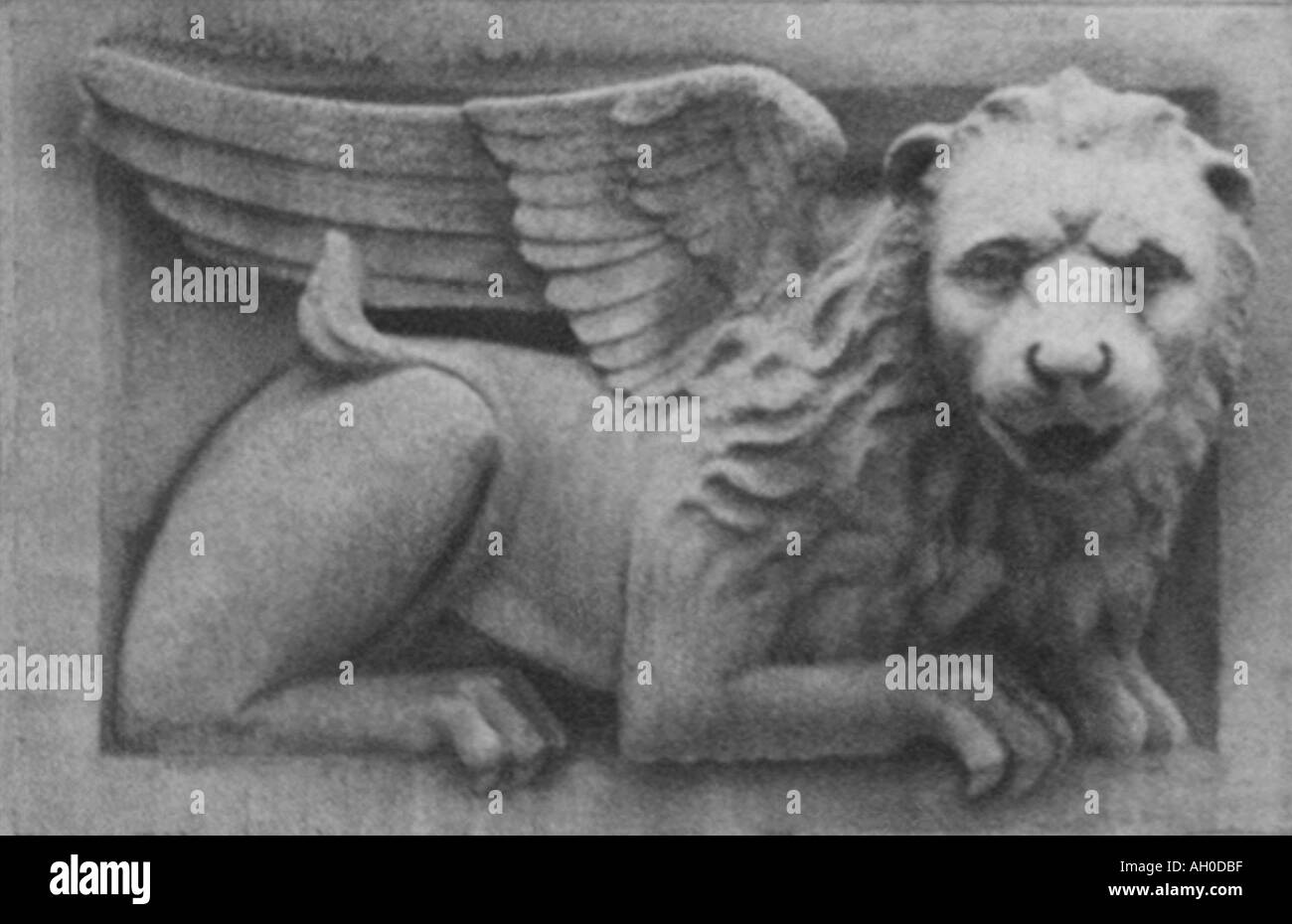 Carved stone griffin gargoyle from historic building Stock Photo Alamy