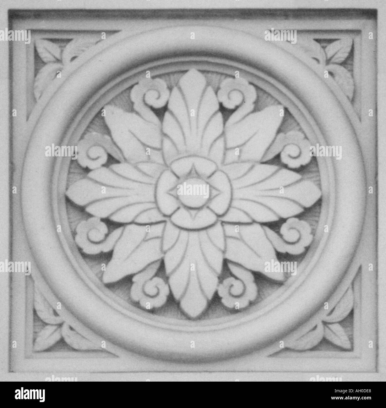 Floral square medallion Stock Photo