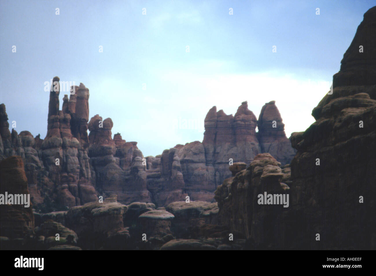 Sandstone spires in the Needles District in Canyonlands National Park, Utah Stock Photo