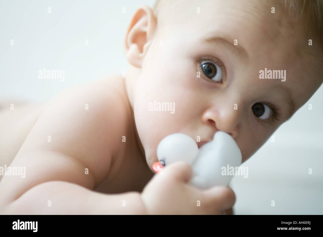 Baby looking at camera, wide eyes, holding rubber duck Stock Photo