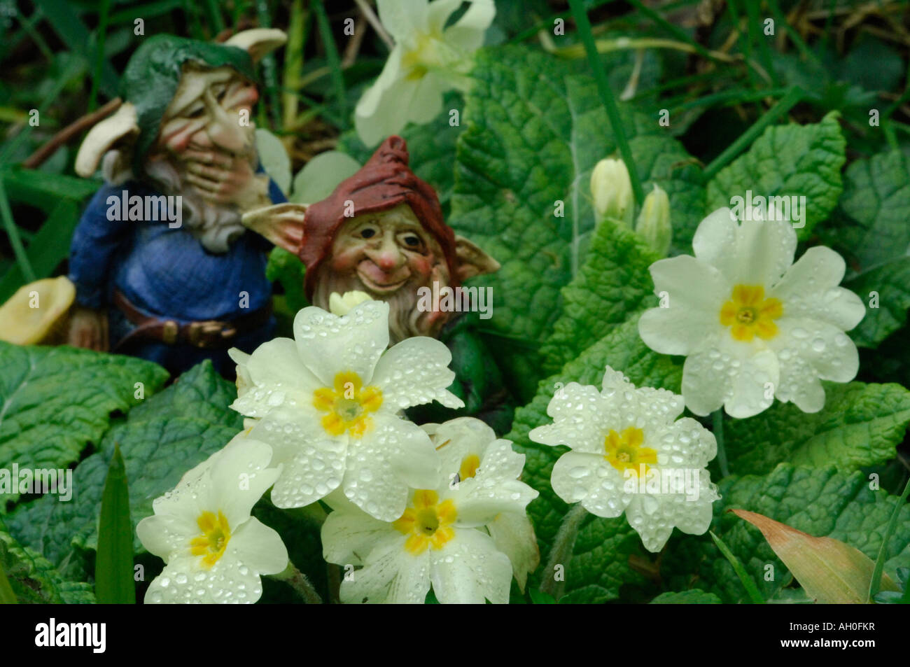 Cornish pixies hires stock photography and images Alamy