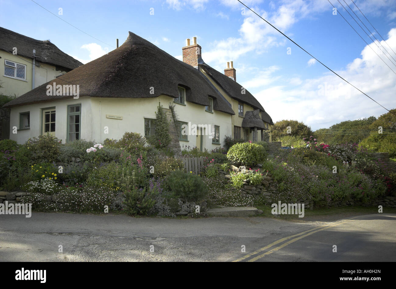 traditional thatched cottage with cream walls and garden Stock Photo