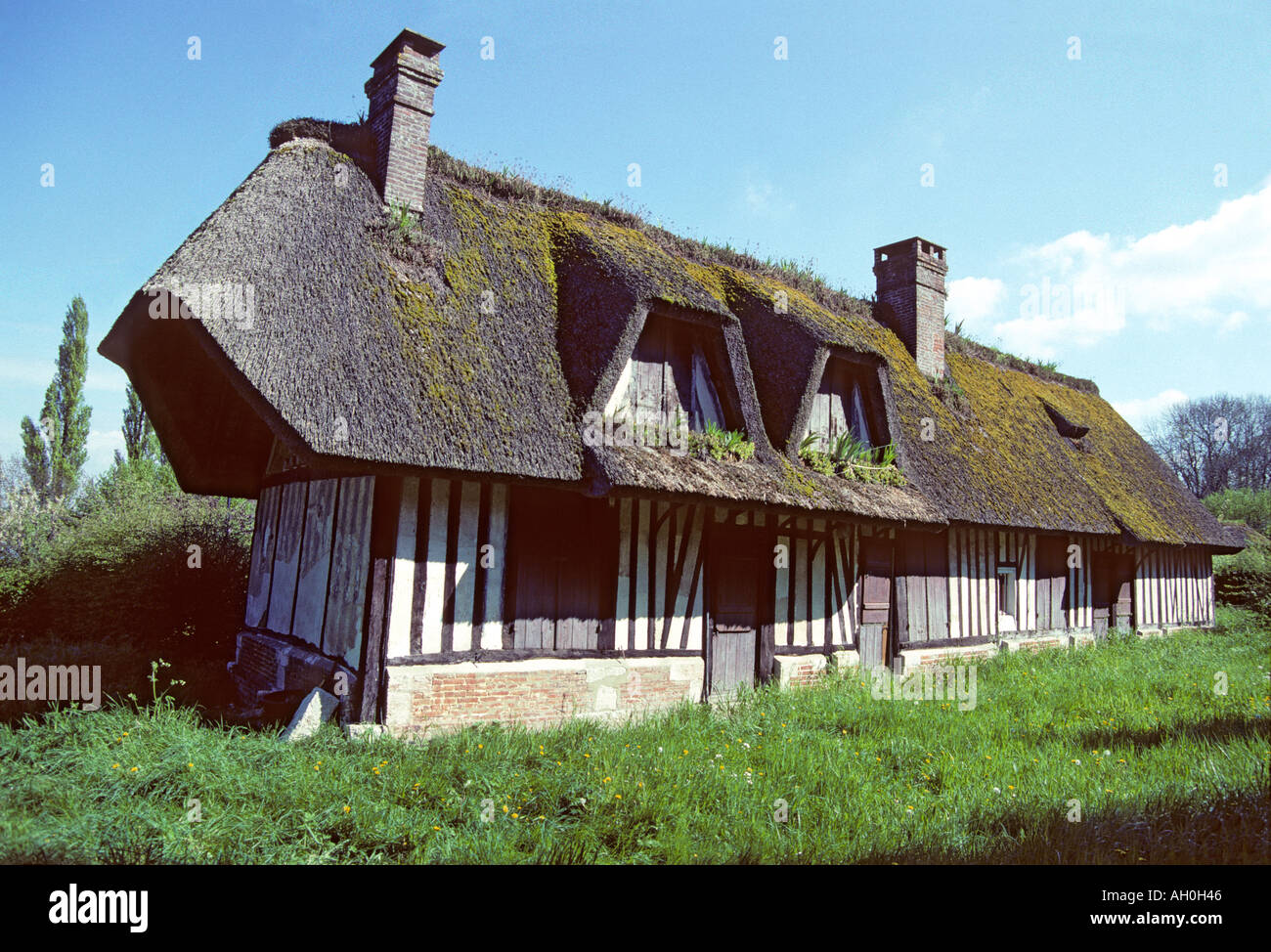 "^Uninhabited ^farmhouse, mossy ^thatched roof, ^Normandy" Stock Photo