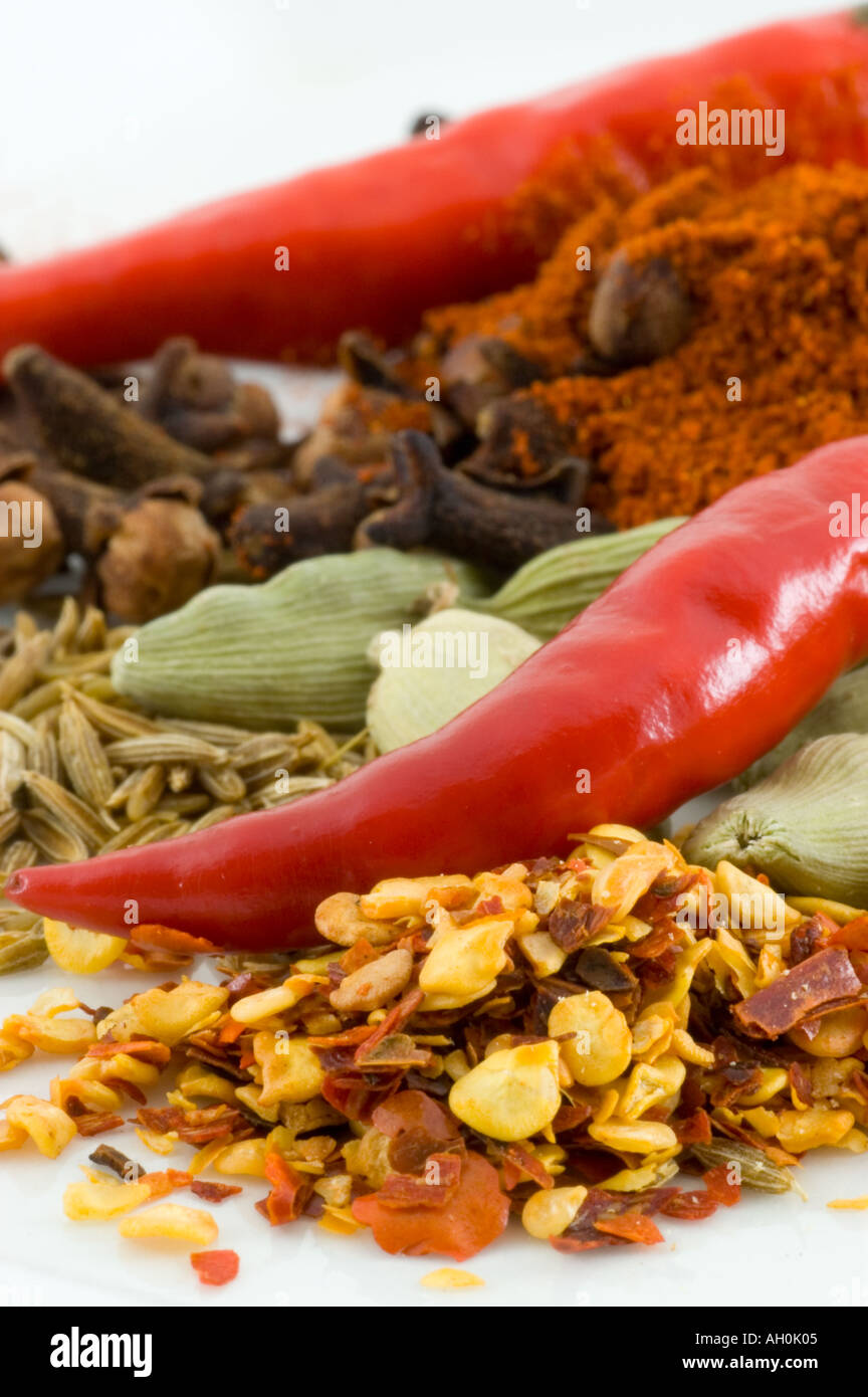 A selection of spices against a white background Stock Photo