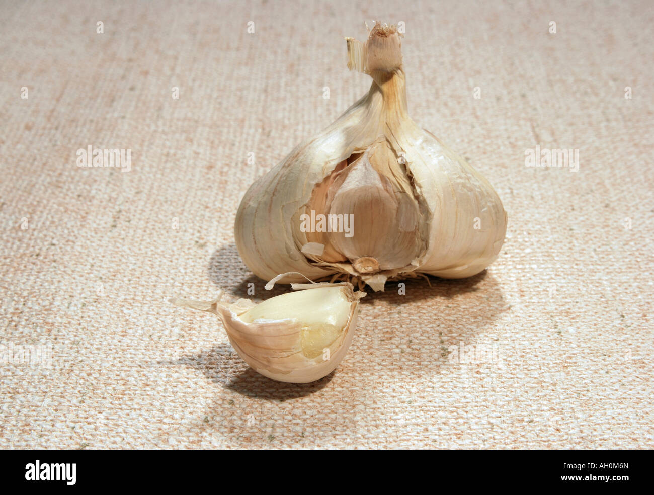 garlic bulb and clove Stock Photo Alamy