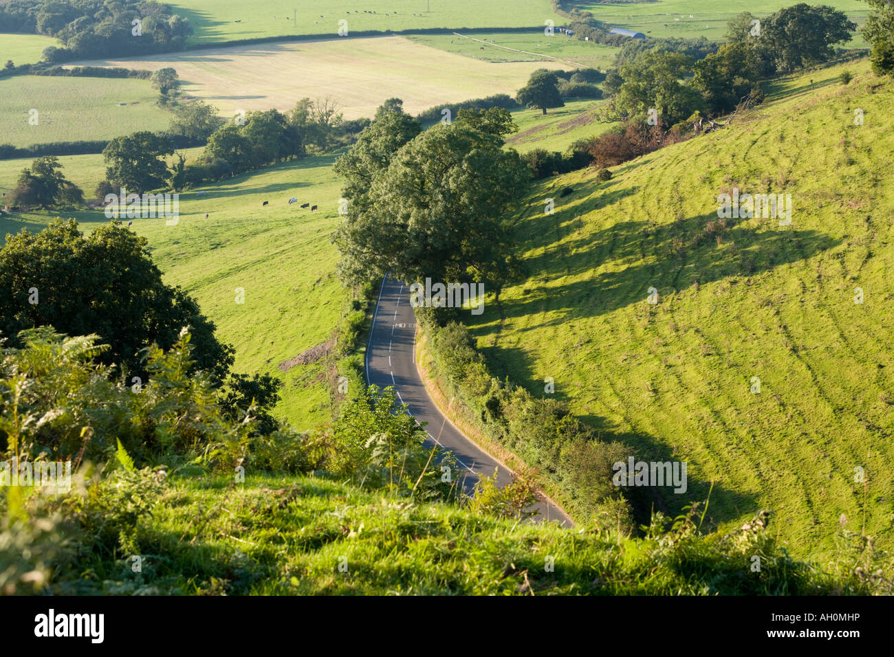Evening sunlight on the road up Frocester Hill leading to Coaley Peak Picnic Site, Gloucestershire Stock Photo