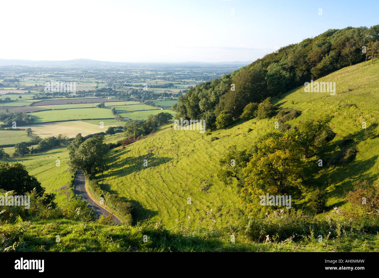 Evening sunlight on the Cotswold scarp at Frocester Hill below Coaley