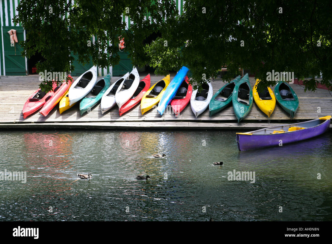 Canoes for hire, Antigua Boat sheds, River Avon, Christchurch, New