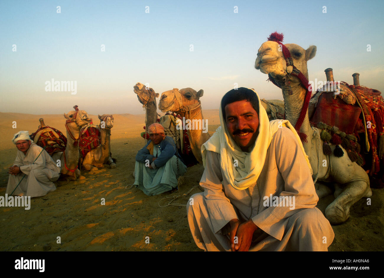 Guide Picture An egyptian tourist guide poses for the camera Stock Photo - Alamy