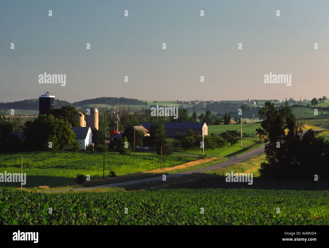 a landscape of a dairy farm in Wisconsin Stock Photo