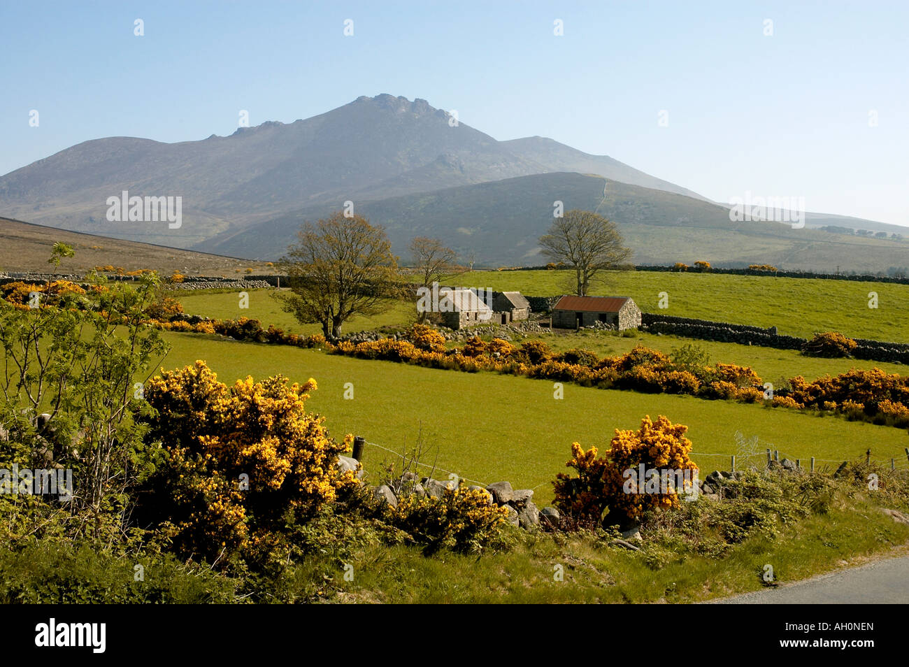 Abandoned hill farm, Mourne Mounntains Stock Photo