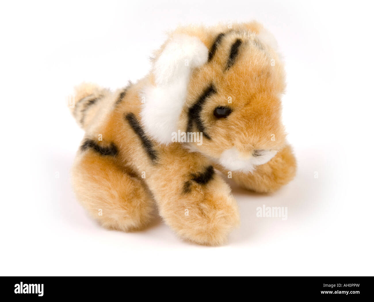 small tiger teddy