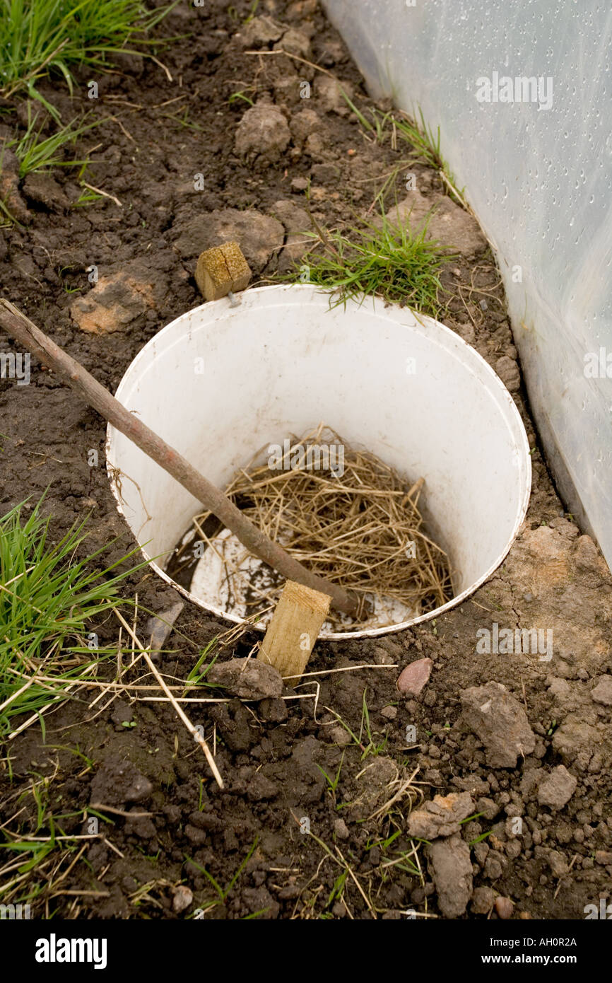 Pitfall trap mammal ladder against hi-res stock photography and
