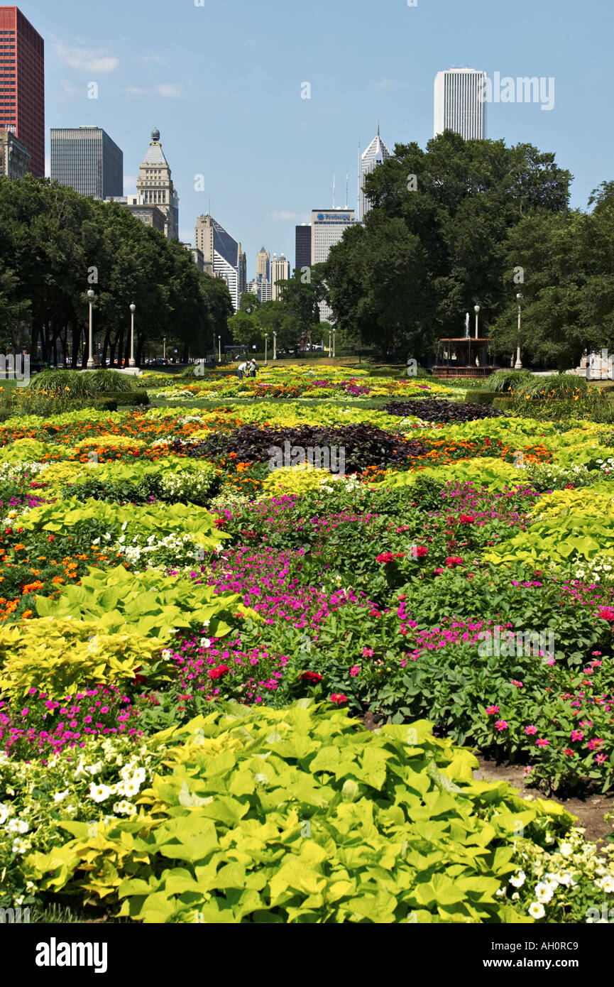 GARDENS Chicago Illinois Grant Park flower gardens city skyline
