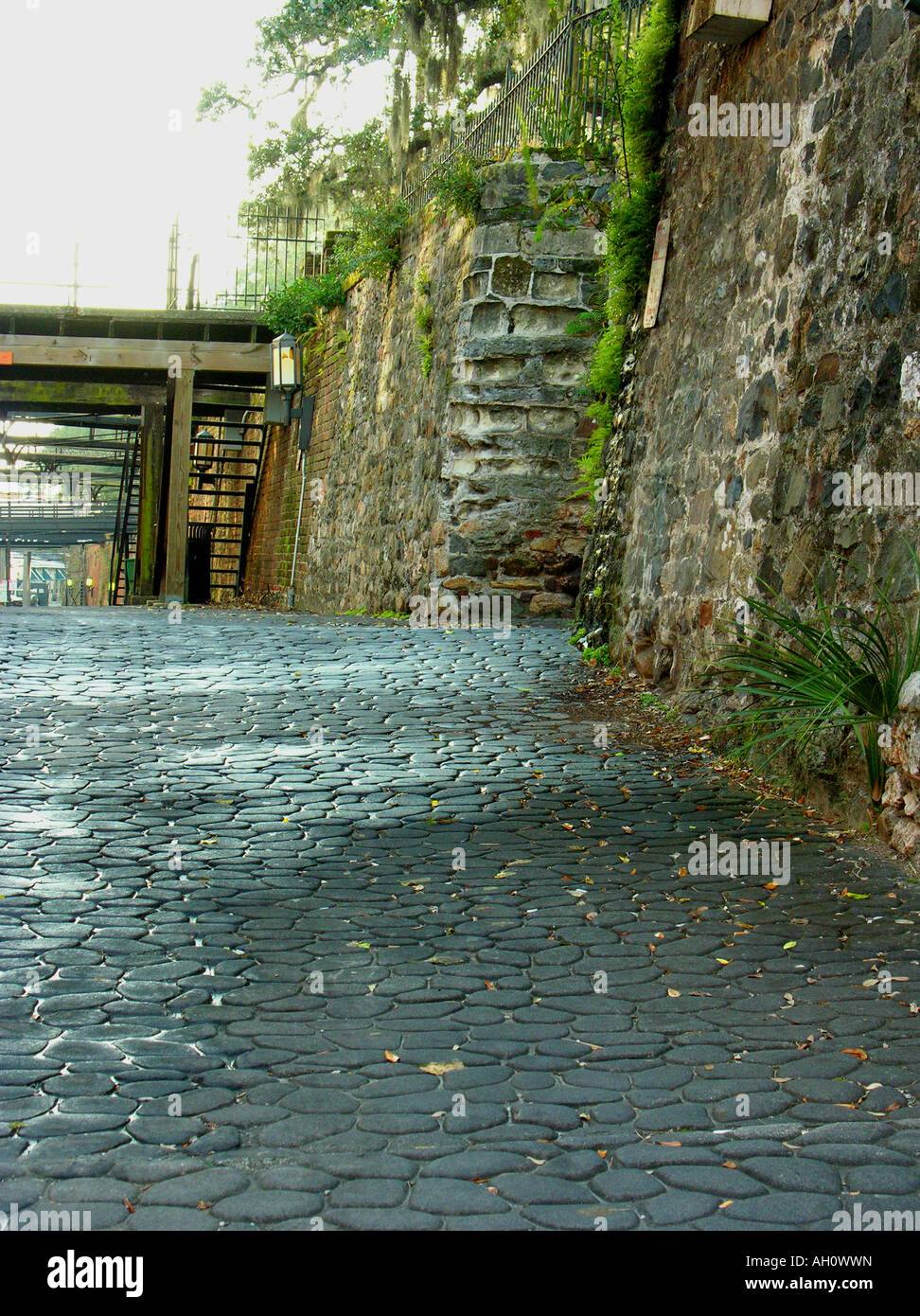 blue cobblestones old town savannah georgia title savannah Stock Photo