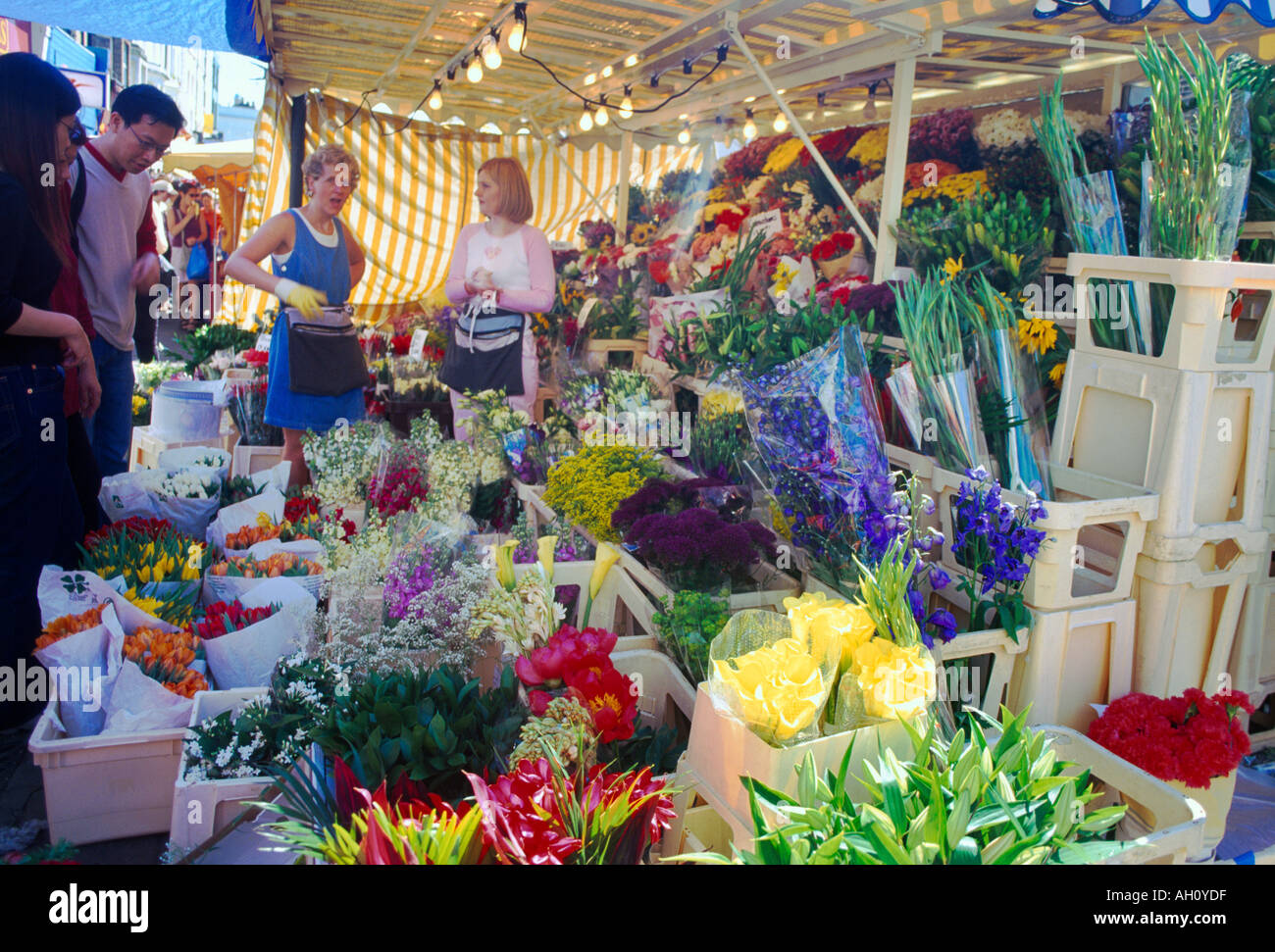London England Portobello Road Flower Stall Stock Photo Alamy