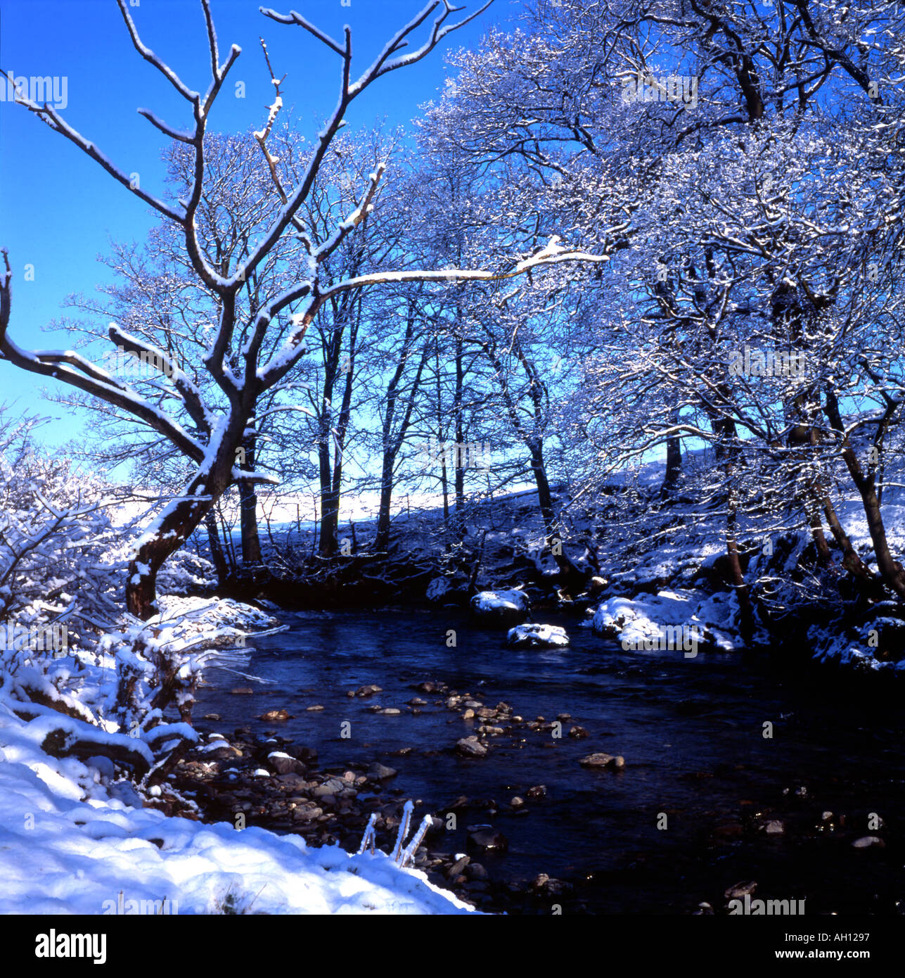 Winter scene River Kent Cumbria England Stock Photo - Alamy