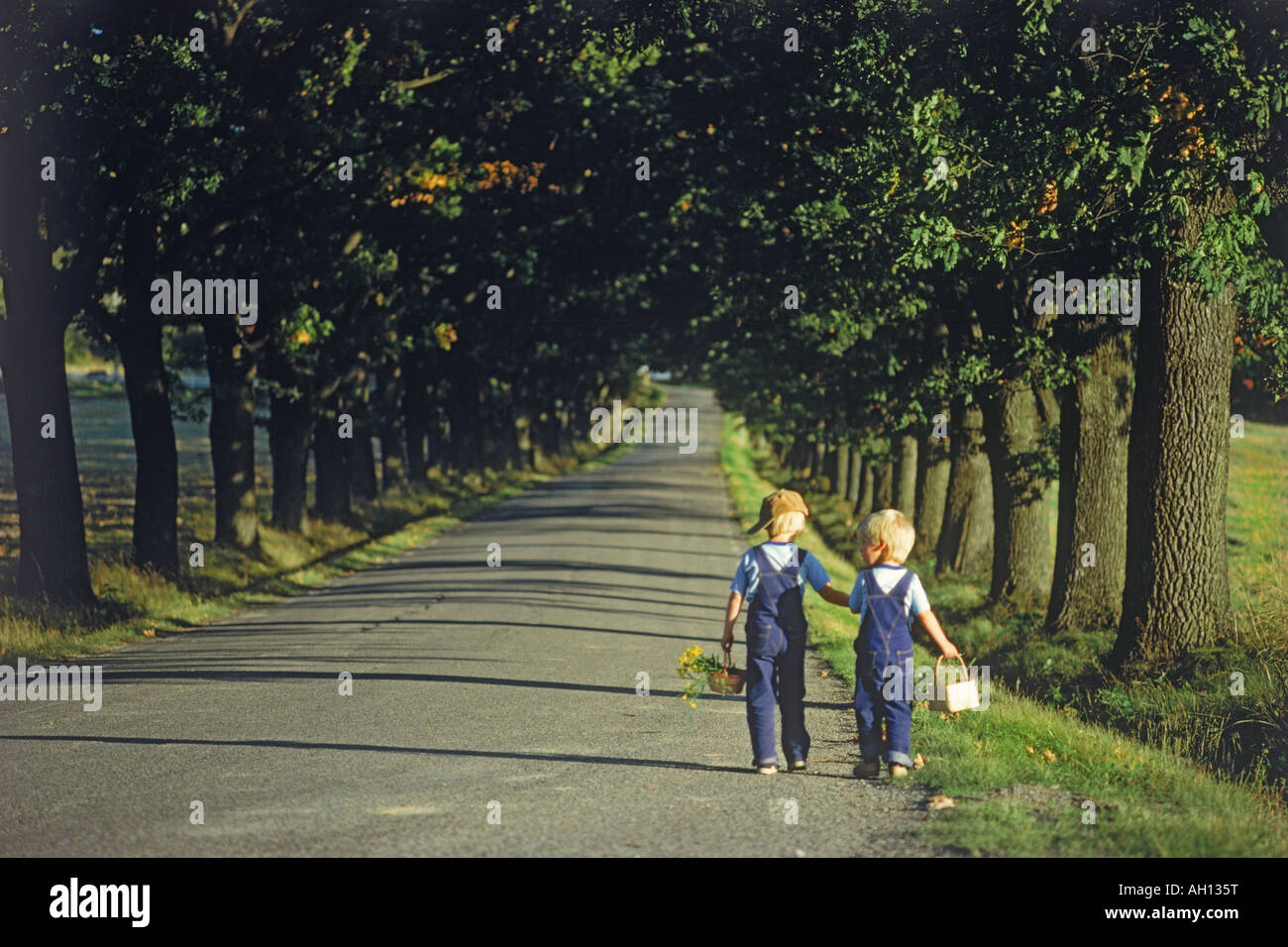 Boys in summer with baskets walking down treelined country road in