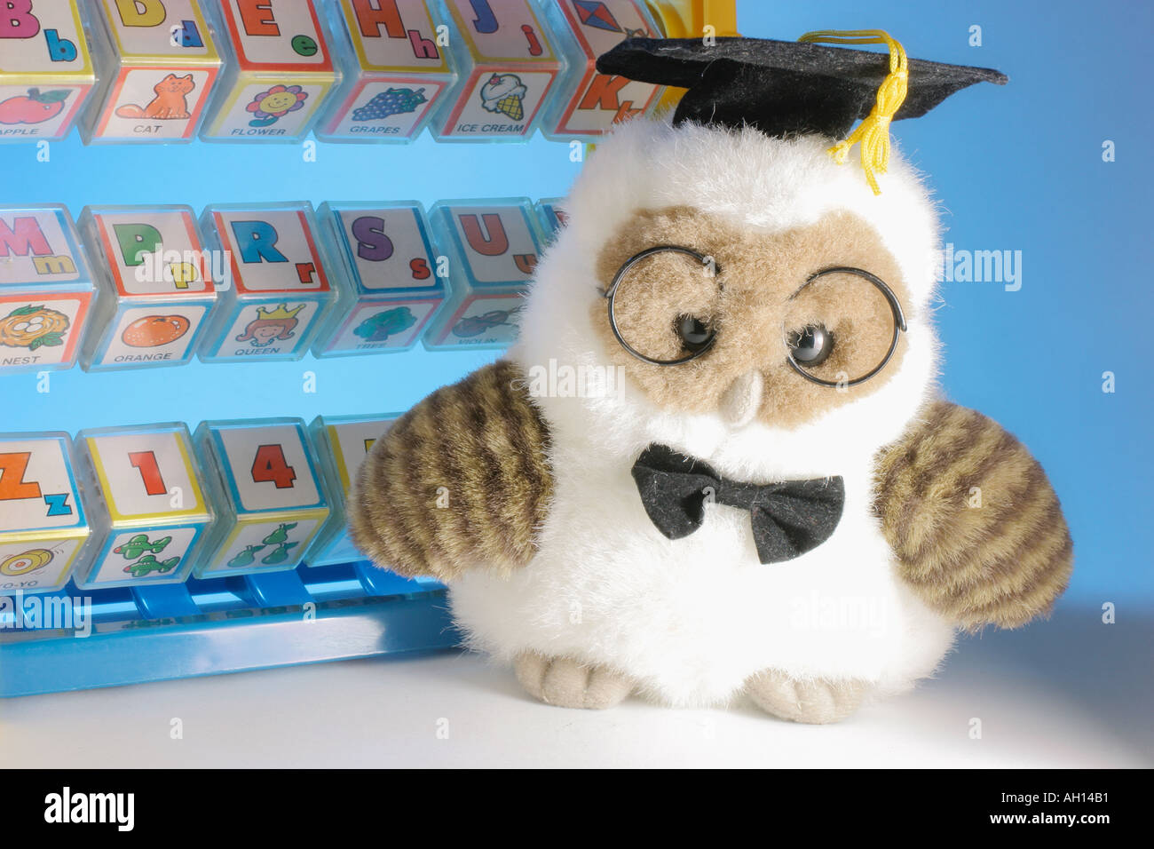 graduation soft toy