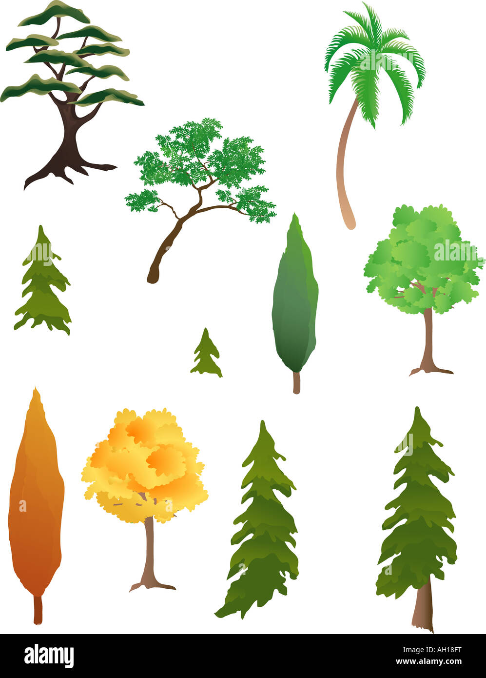 Trees for kind. Kinds of trees