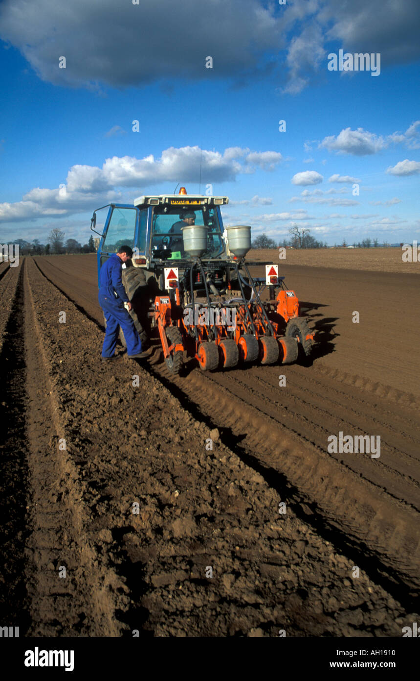 Farm workers drilling onions in Lincolnshire England Stock Photo Alamy