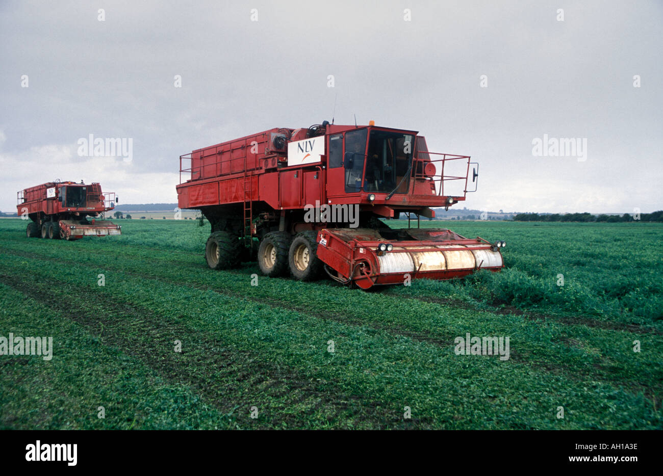 Pea harvest machine hi-res stock photography and images - Alamy