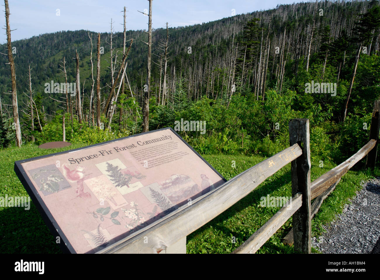 Interpretive sign along Clingman's Dome Trail, Great Smoky Mountains National Park Stock Photo