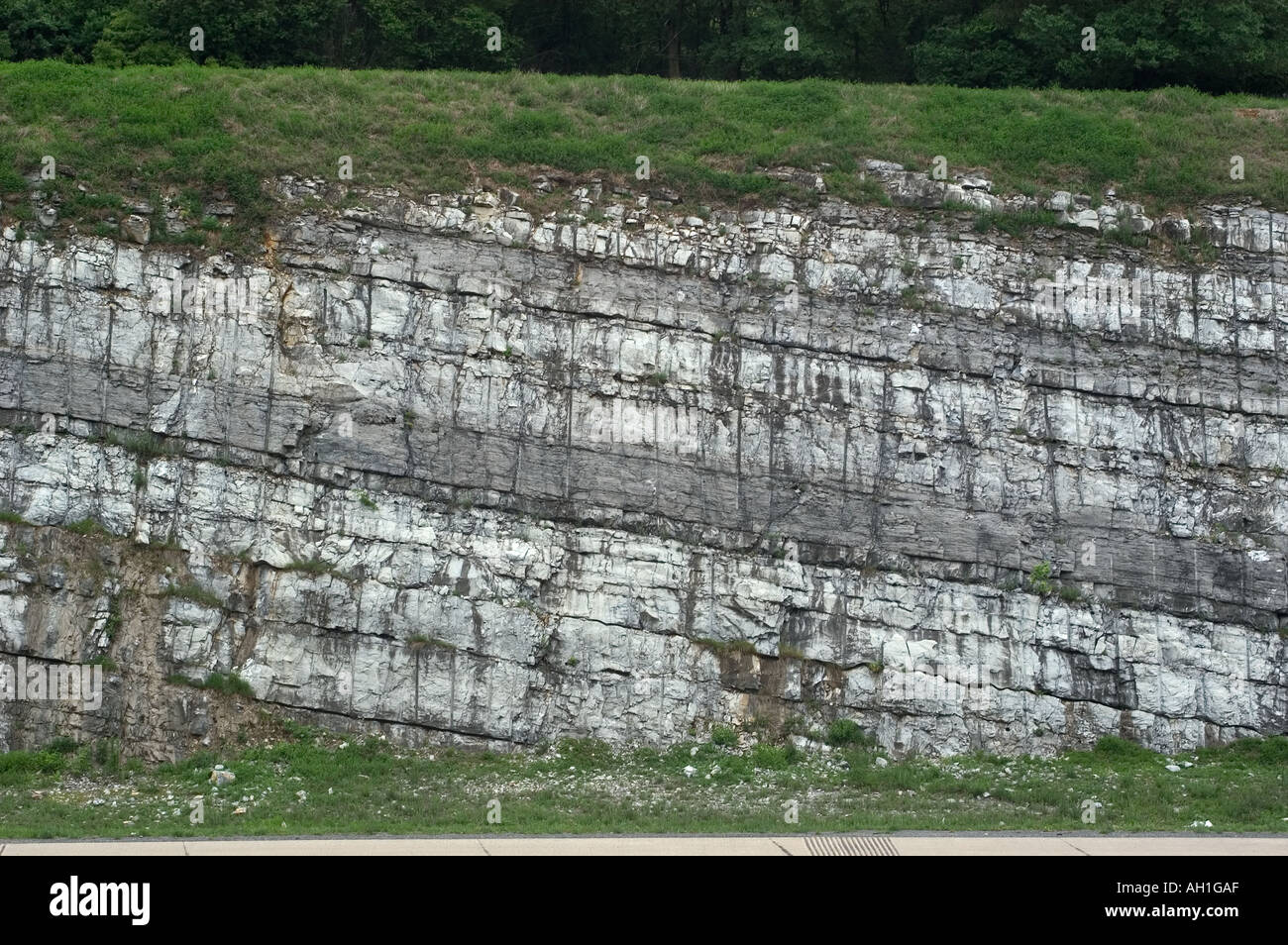 diagonally oriented limestone rock strata along a road cut in central