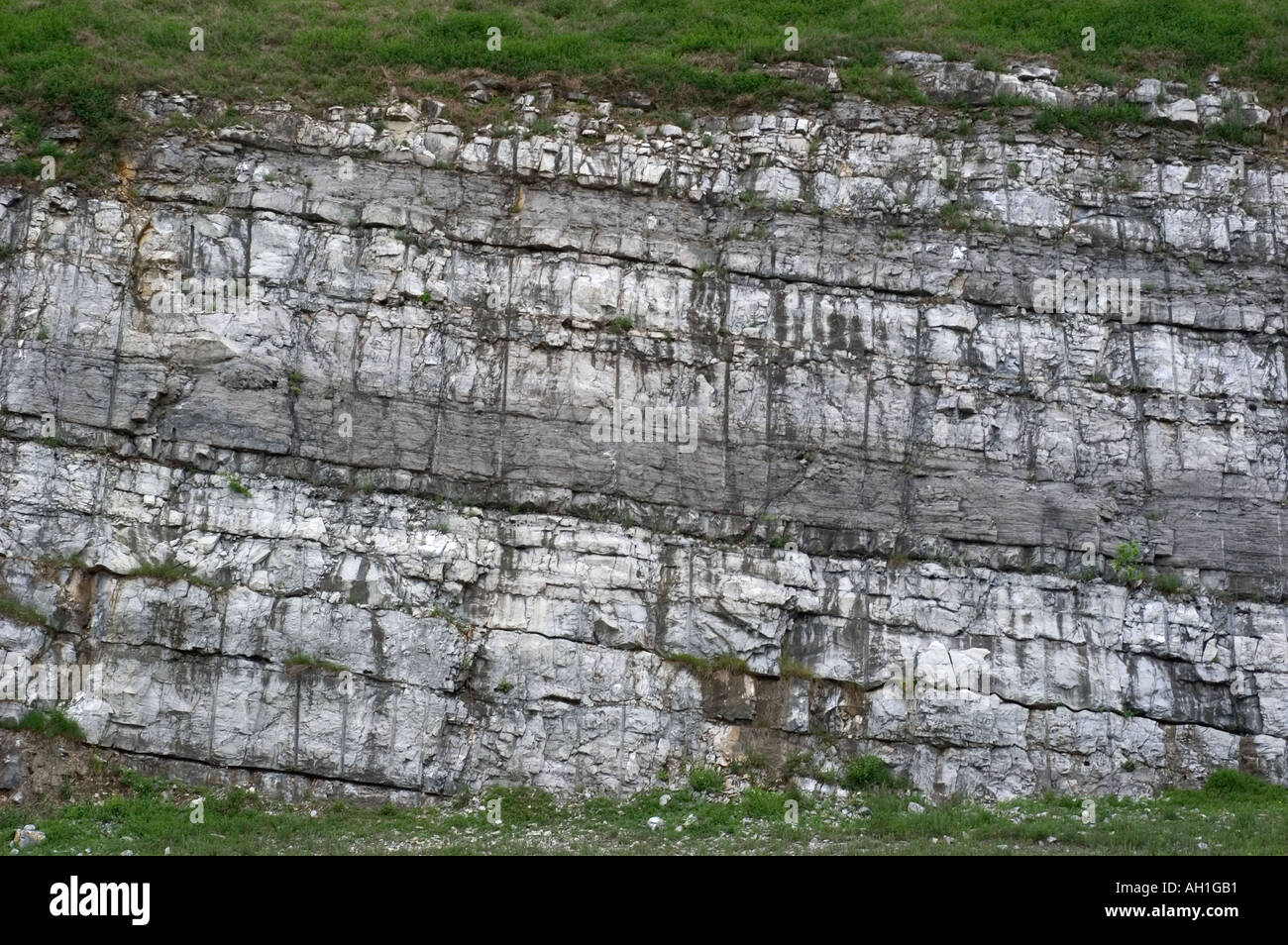 diagonally oriented limestone rock strata along a road cut in central