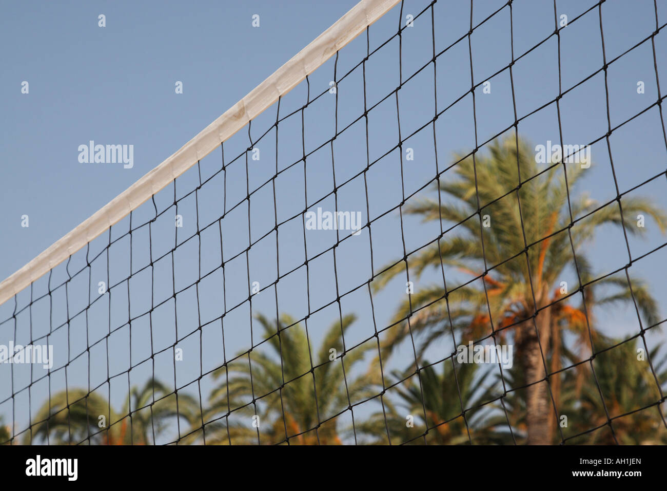 Volleyball Palm Trees Beach High Resolution Stock Photography and