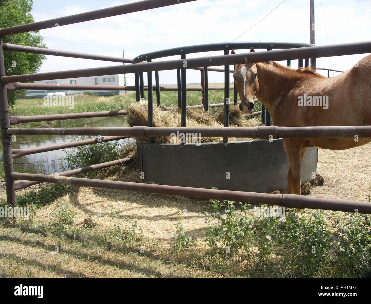 Corral Stock Photo