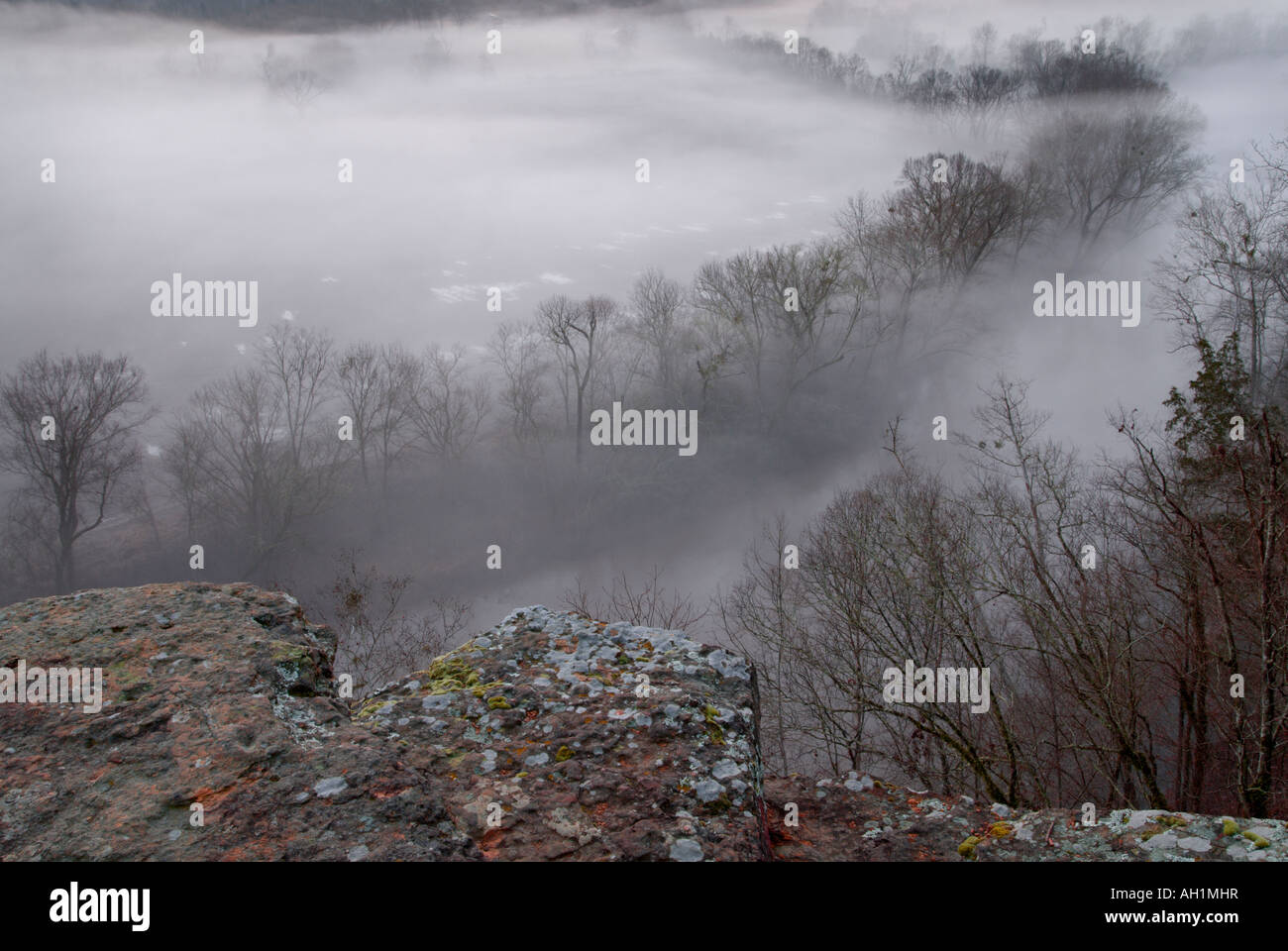clifftop view morning fog Harpeth River Stock Photo Alamy