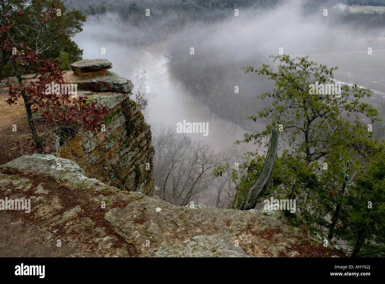clifftop view morning fog Harpeth River Stock Photo Alamy