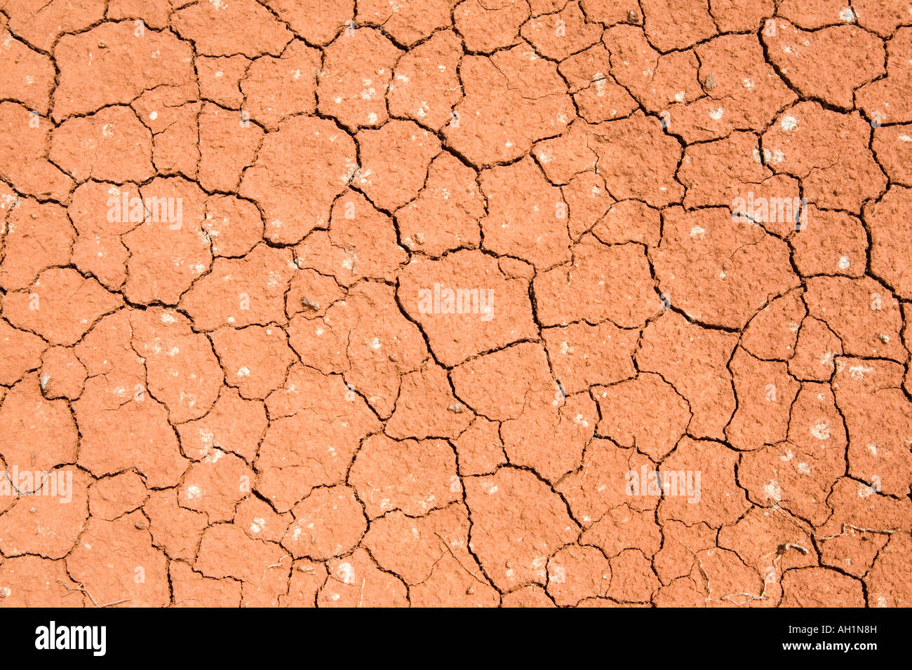 Dry cracked red earth in Oklahoma USA Stock Photo