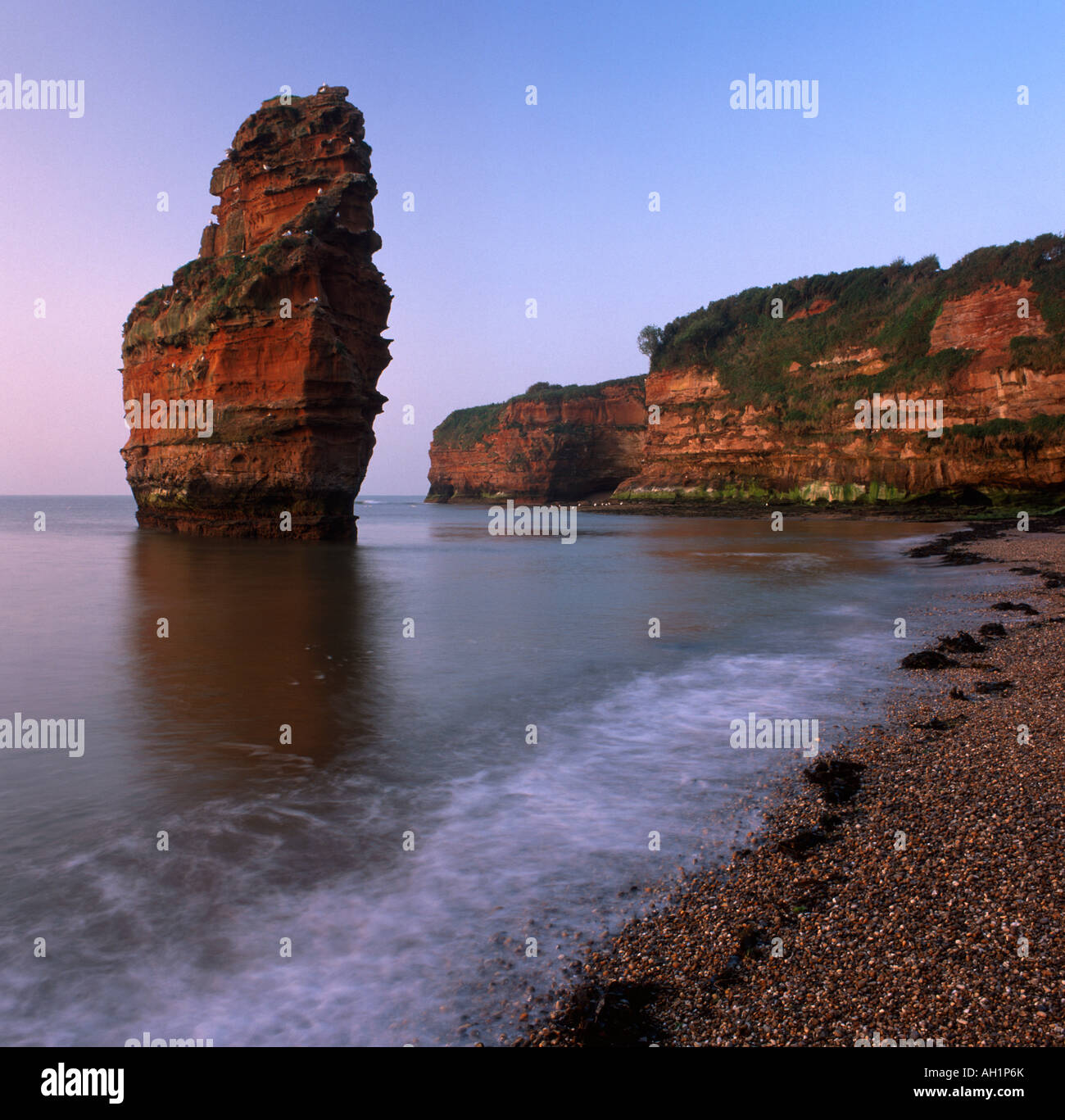 View of sea stack and cliffs at Ladram Bay, near Otterton, England, at sunrise Stock Photo