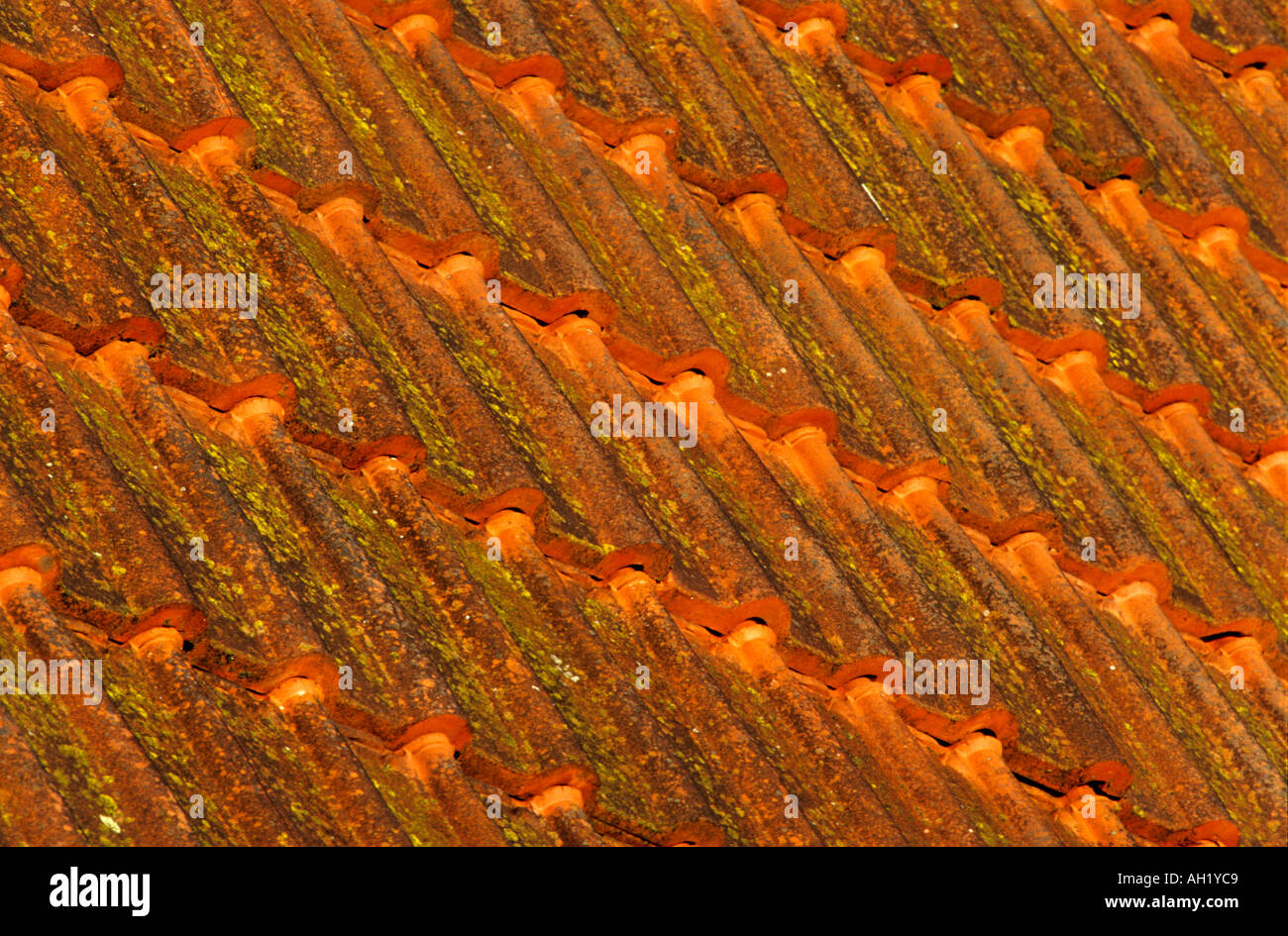 Red Roof Tiles Stock Photo