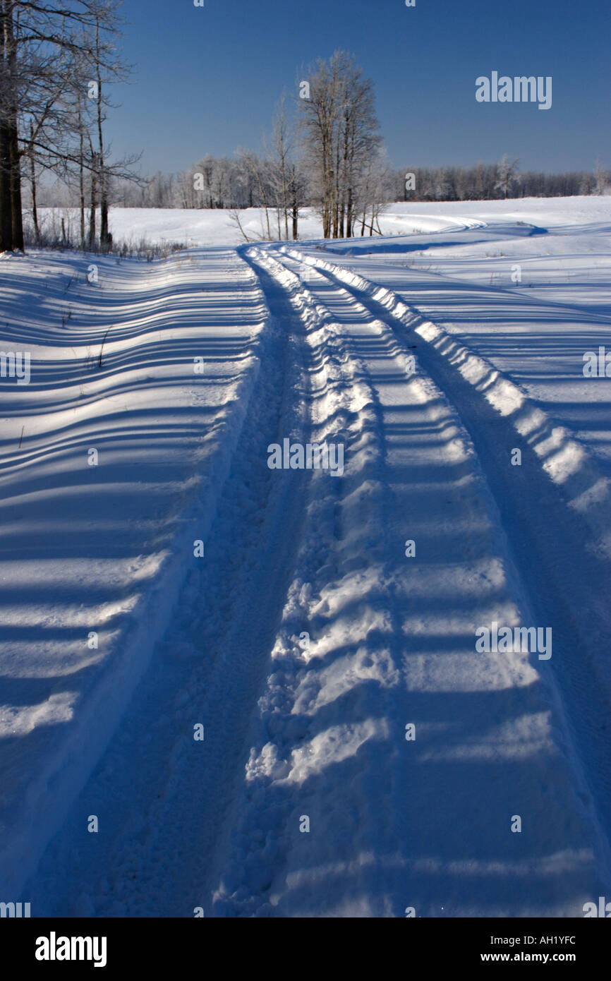 A wintery scene in Elk Island National Park Canada Stock Photo Alamy