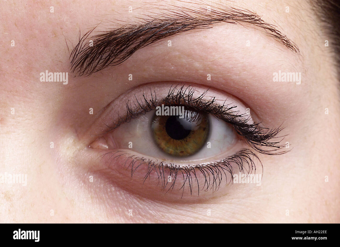 Close up womans eye Stock Photo