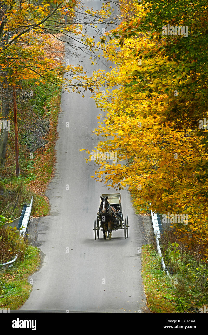 Amish lifestyle with horse and buggy on road during fall autumn colors ...