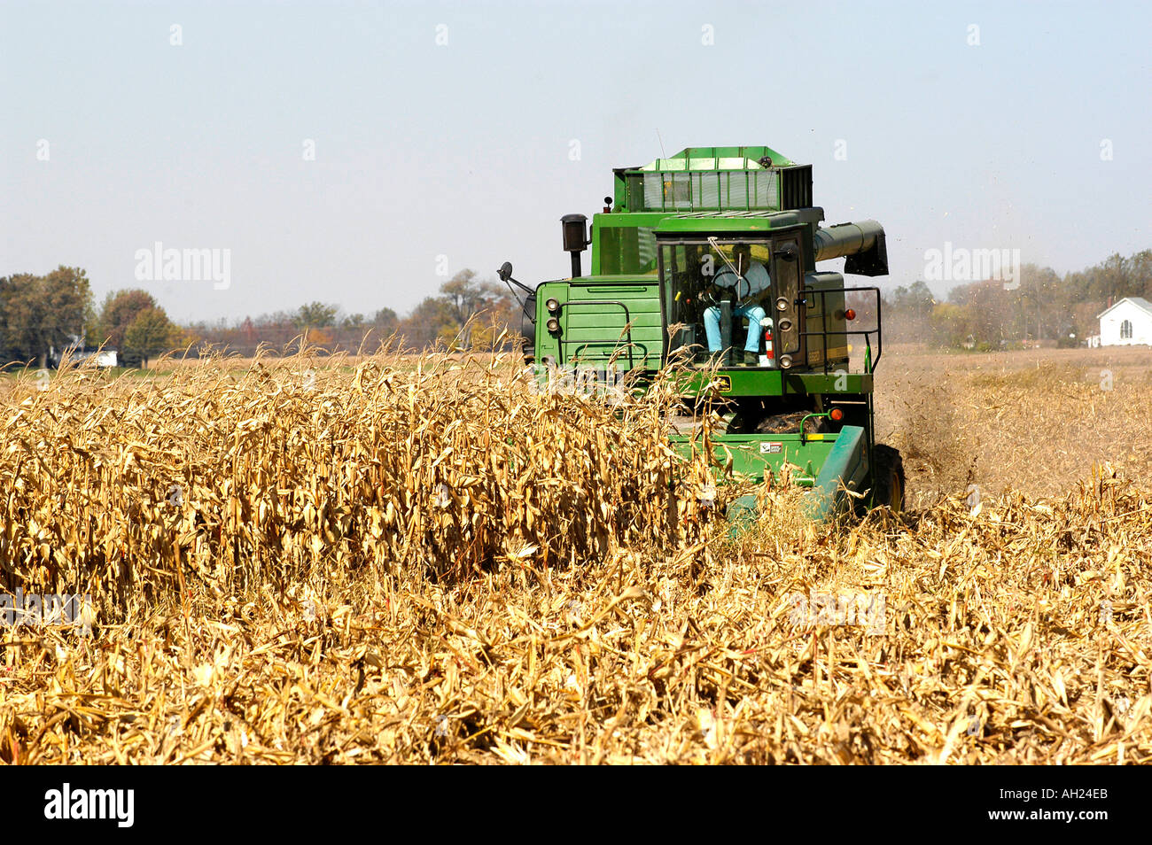 Corn Harvest Ohio Stock Photo Alamy