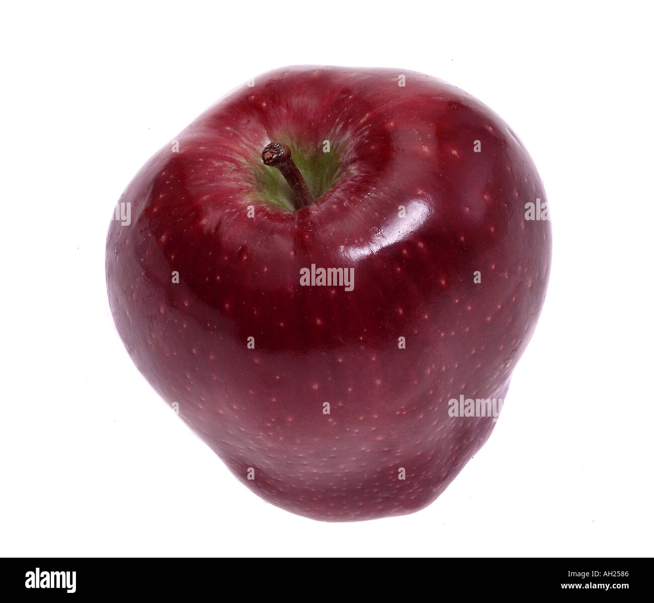 red delicious apple silhouetted on white background Stock Photo