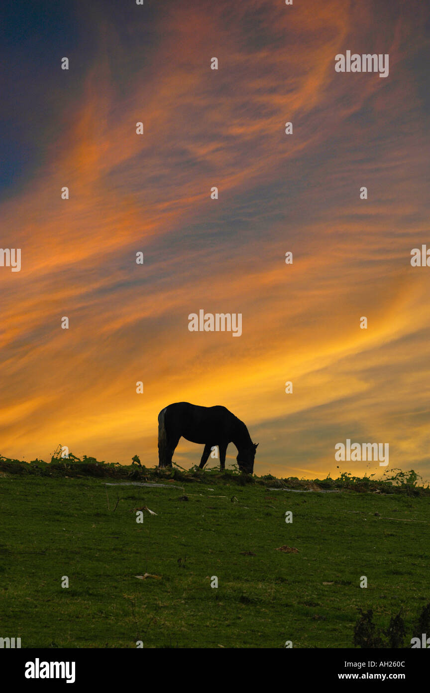 Amish Country Scenic Millersburg Ohio Stock Photo