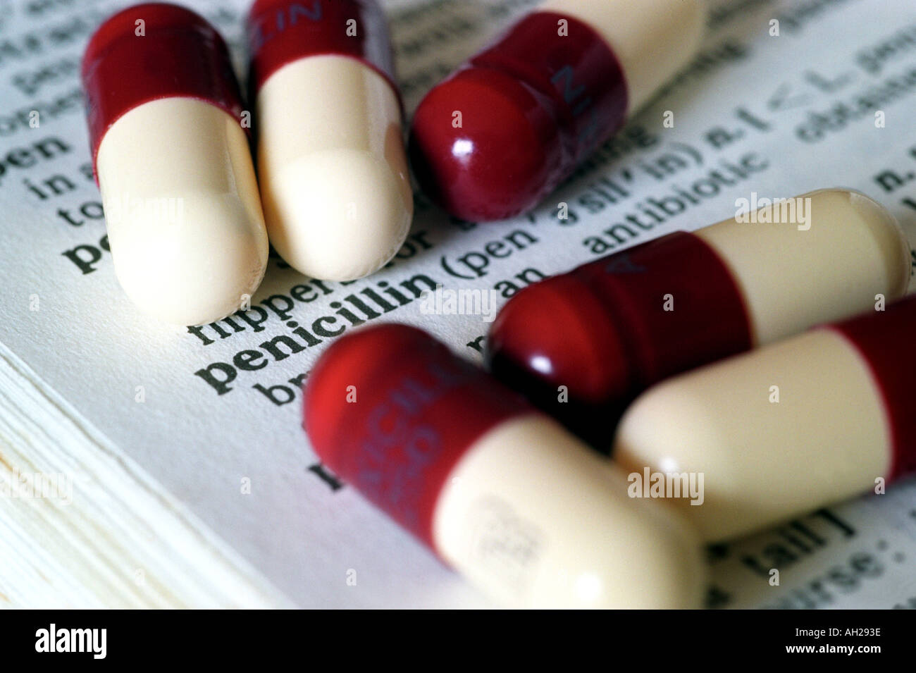 Penicillin capsules on the dictionary definition of the word Stock Photo