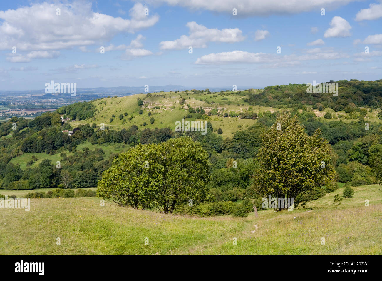 The Cotswold Scarp At Crickley Hill Viewed From Barrow Wake 